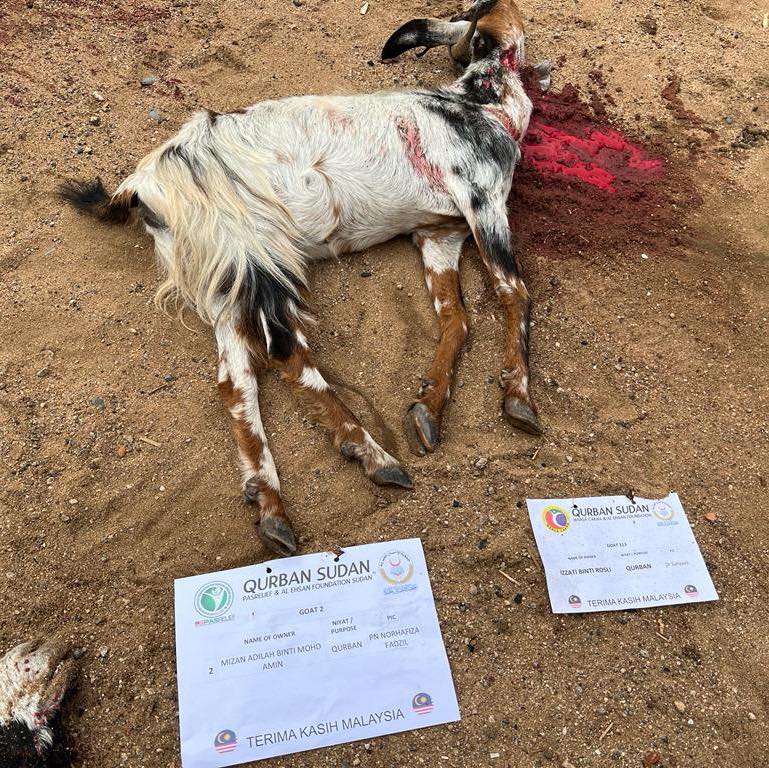 Misi qurban 2